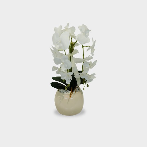 Vazo dekorativ